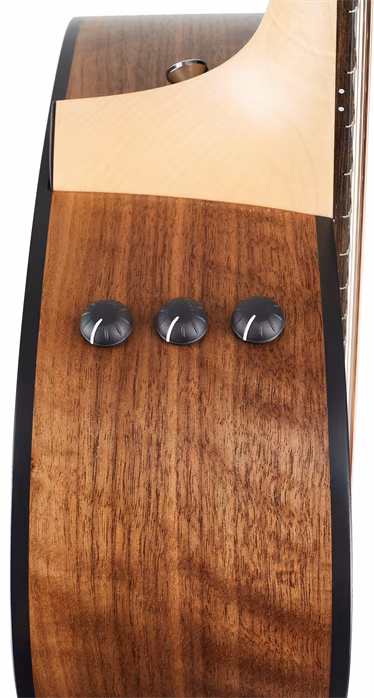 Taylor 150e - Dwunastostrunowa gitara elektroakustyczna