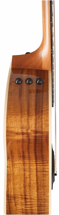 Taylor 214ce-K DLX - Gitara elektroakustyczna