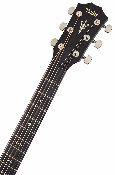 Taylor 524ce V-Class Bracing - Gitara elektroakustyczna