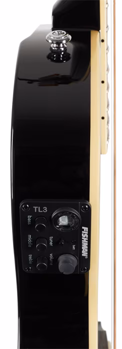 ESP LTD TL-12 BLK - Dwunastostrunowa gitara elektroakustyczna