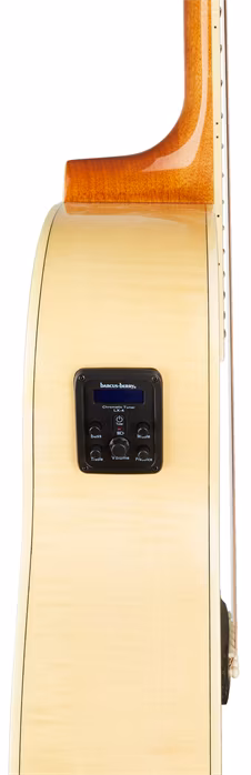 Washburn AG40CE-A-U - Gitara elektroakustyczna