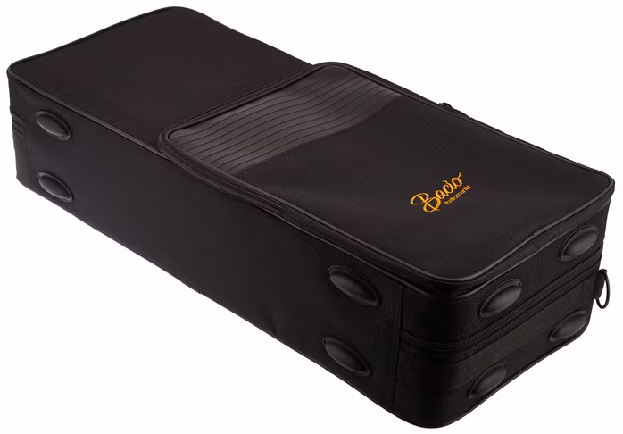 Bacio Instruments BAS-100 - Saksofon