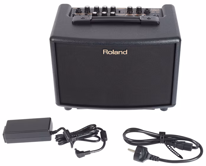 Roland AC 33 - Combo do instrumentów akustycznych