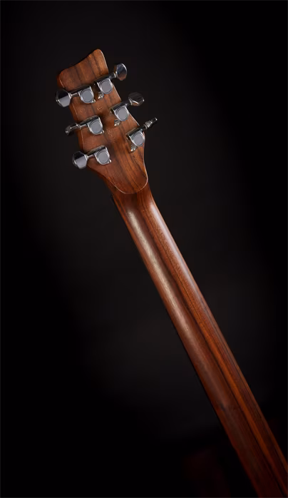 Framus 2004 Panthera Studio - Gitara elektryczna