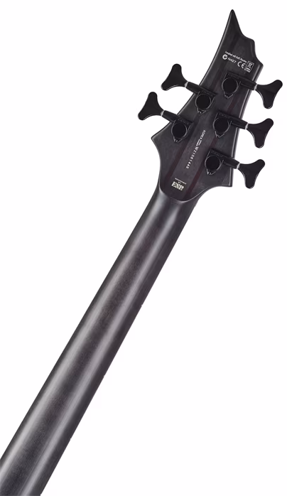 ESP LTD F-1005 FM STBLK - Elektryczna gitara basowa
