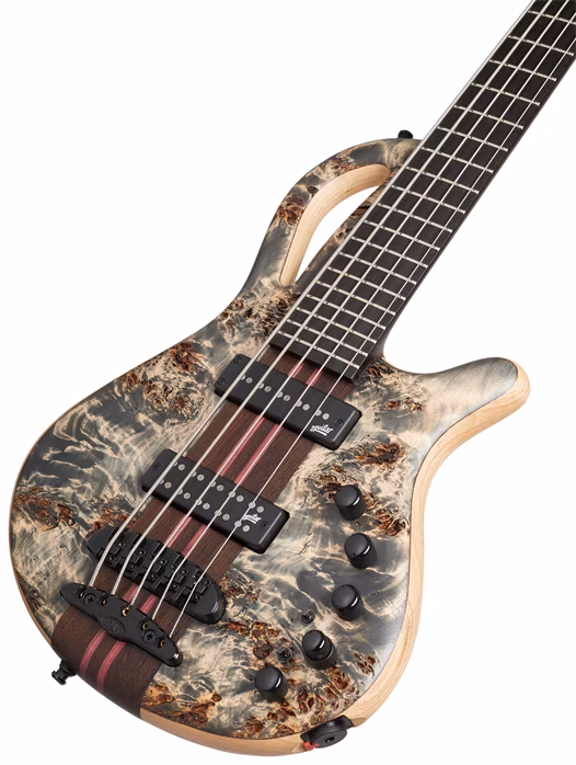 Mayones Caledonius 5 Raw Graphite Poplar Tom - Elektryczna gitara basowa