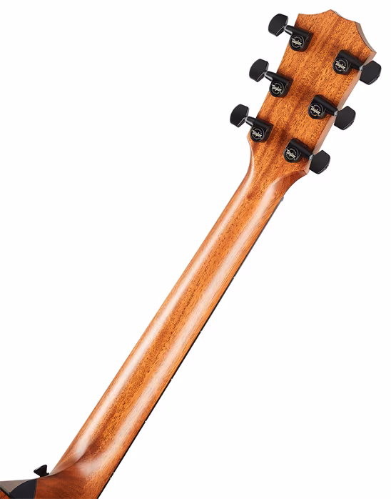 Taylor 324ce - Gitara elektroakustyczna