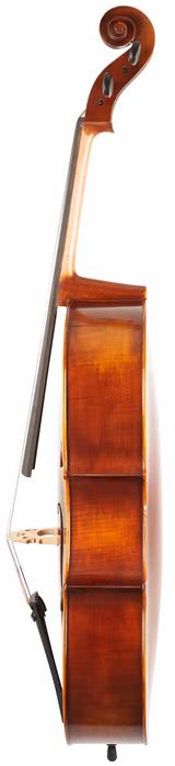 Gewa Maestro 6 Cello 4/4 - Wiolonczela