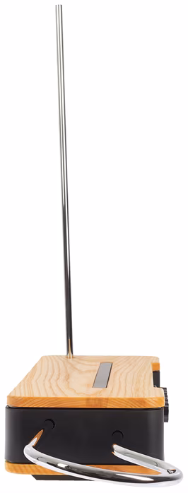 Moog Etherwave Theremin - Theremin