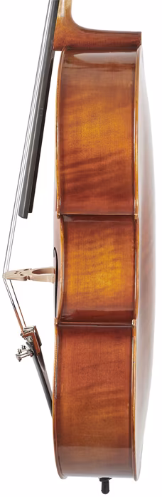 Bacio Instruments Professional Cello Antique (ACA300) 4/4 - Wiolonczela