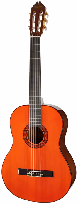 Washburn C5-A-U - Gitara klasyczna