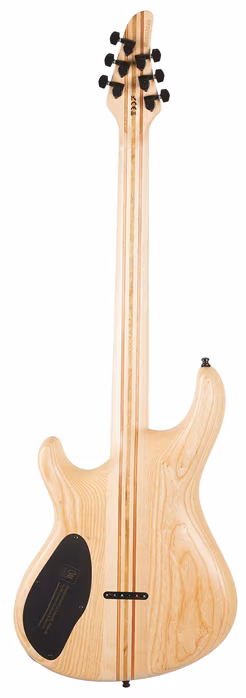 Mayones Regius Gothic 6 Gothic Black - Gitara elektryczna