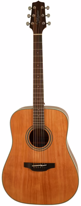 Takamine GD20-NS - Gitara akustyczna