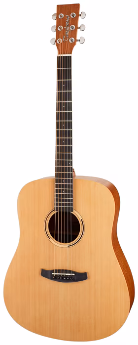 Tanglewood TWR2 D - Gitara akustyczna