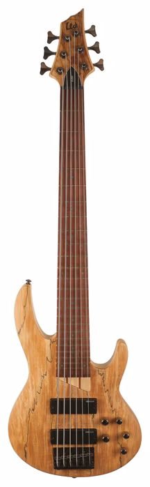 ESP LTD B-206SM NS - Elektryczna gitara basowa