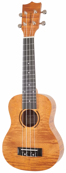 Tanglewood TWT 5 - Ukulele akustyczne