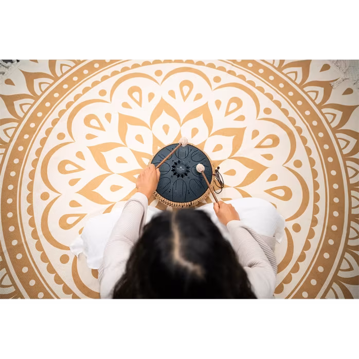 Meinl Sonic Energy 10" Octave Steel Tongue Drum C Minor - Tongue drum