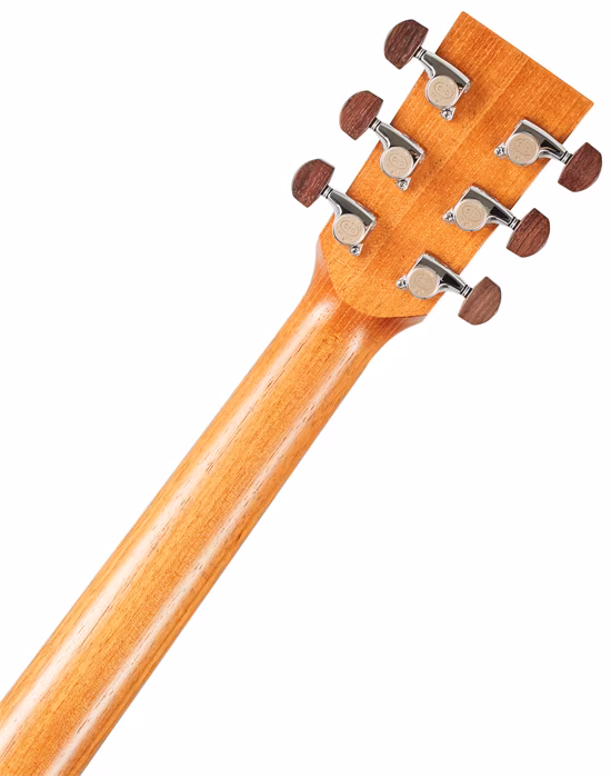 Lakewood M-14 CP - Gitara elektroakustyczna