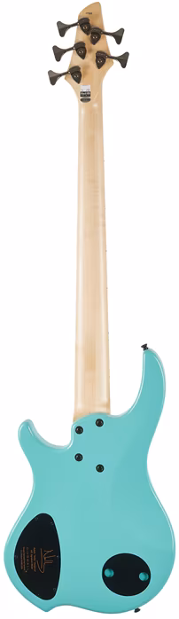Dingwall NG3 Nolly Signature 5 MN Celestial Blue - Elektryczna gitara basowa