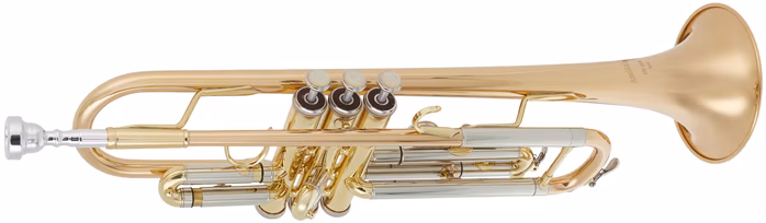 Arnolds & Sons ATR-4200G Terra - Trąbka