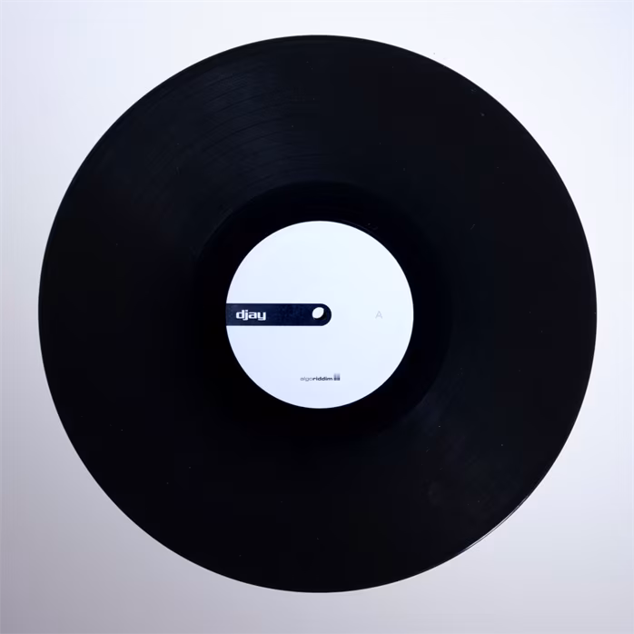 Stokyo Algoriddim djay Control Vinyl 12'' - Performance vinyl