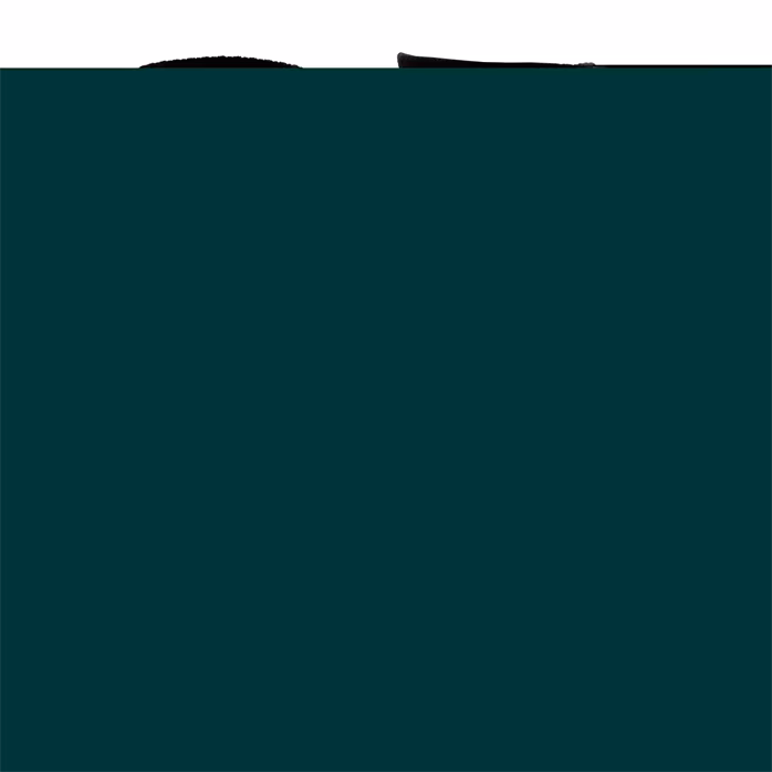 Perri's Leathers Fender Pick Pocket Socks L - Polština