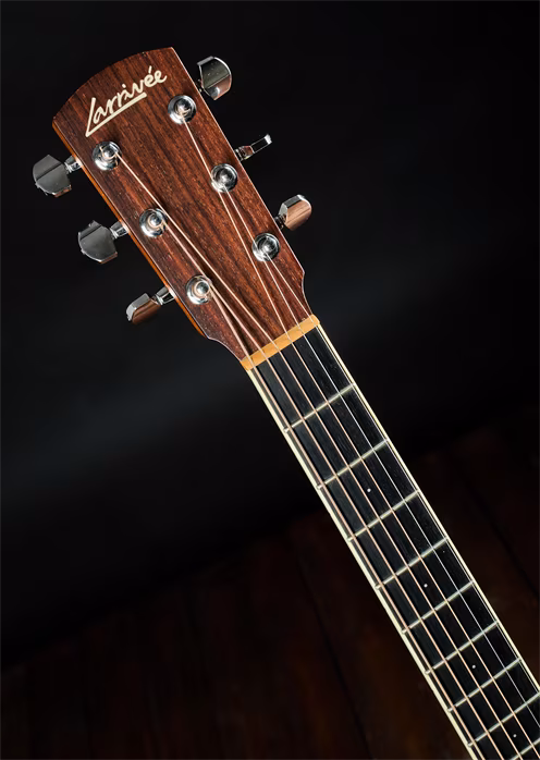 Larrivée 2012 D-02 Mahogany - Gitara akustyczna