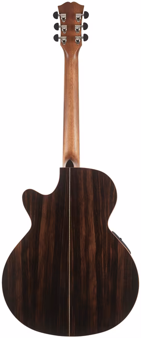 Dowina Danubius GACE StagePro - Gitara elektroakustyczna