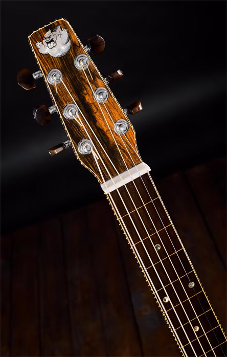 Rozawood 2013 Bugaboo II. Dobro RW - Akustyczna gitara rezofoniczna