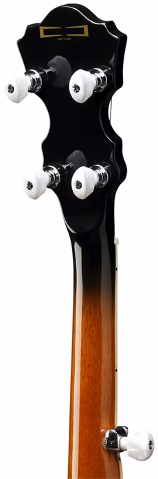 Ibanez B300 BK - Banjo