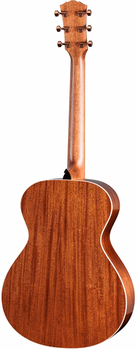 Taylor Ben Harper Gold Label 512e Special Edition - Gitara elektroakustyczna