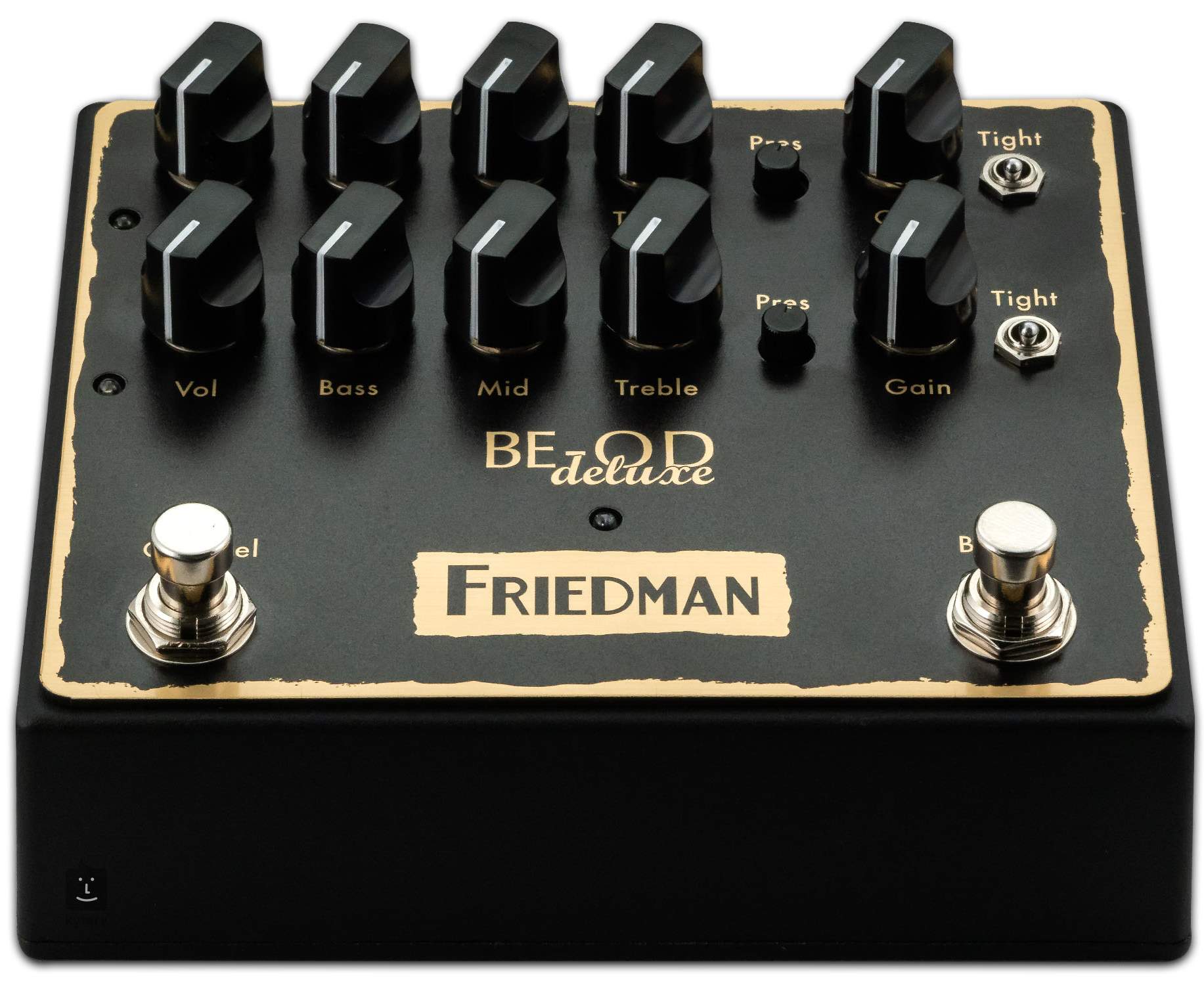 Friedman BE-OD - ギター