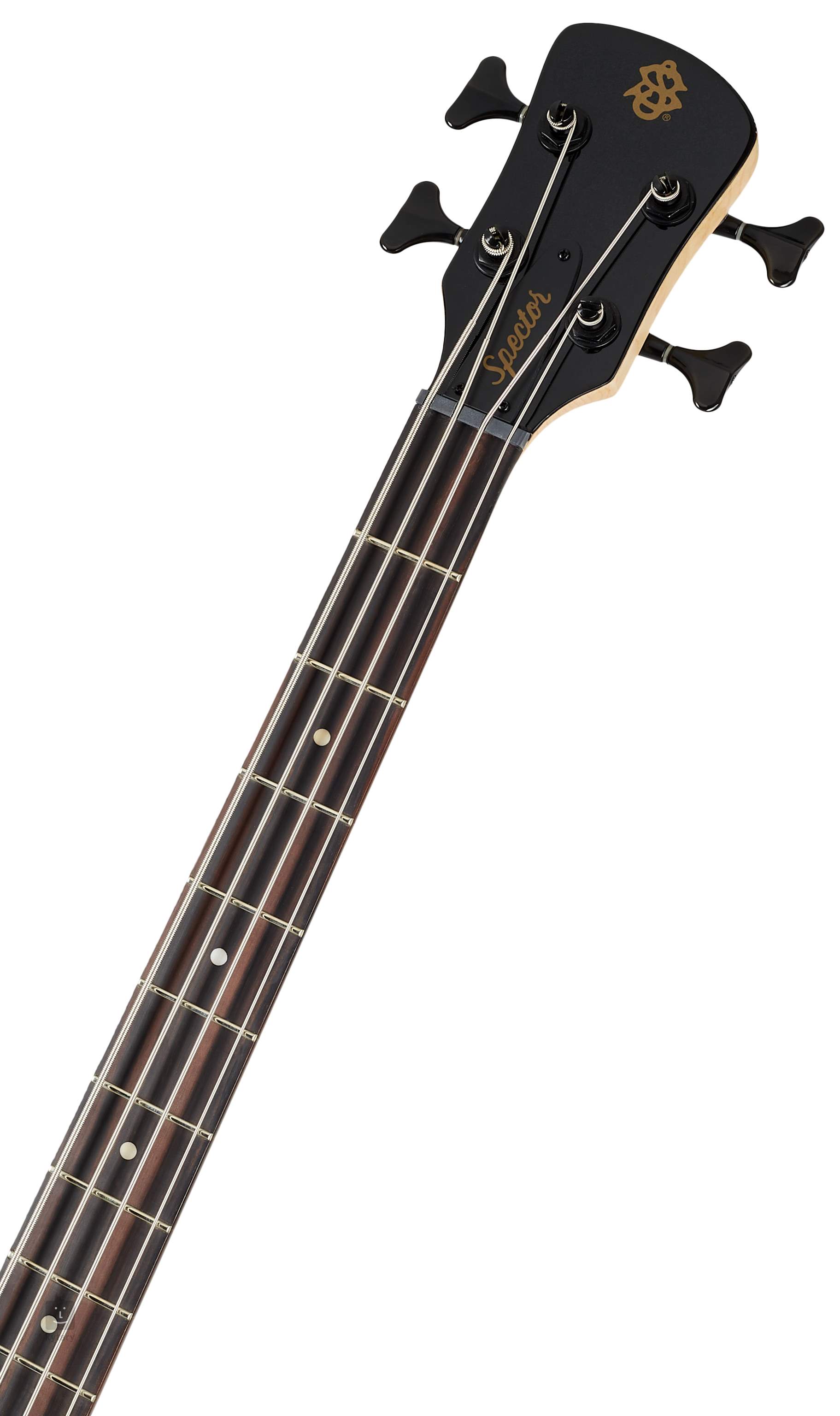 新素材新作 Spector スペクター ベース パフォーマー メンテナンス済み 