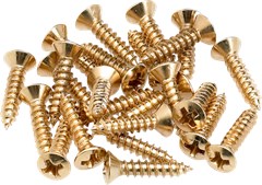 Fender Pickguard/Control Plate Mounting Screws, Gold