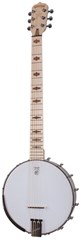 Deering Goodtime 6 Steel String