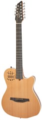 Godin A 10 Natural Steel Mahogany Cedar SG