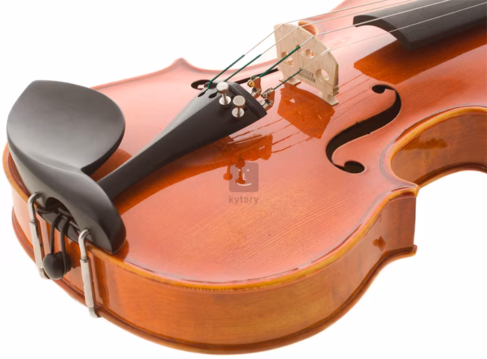 Pierre Marin VIVAV44 - Vioară acustică