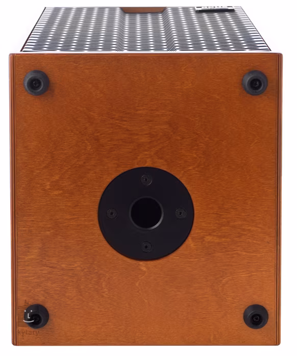 Acus One Forstrings AD Wood - Combo instrumente acustice