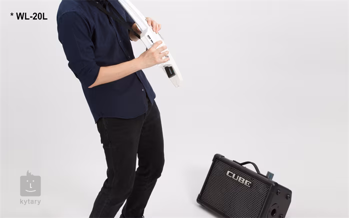 Boss WL-20L - Set fără fir chitară/chitară bas 