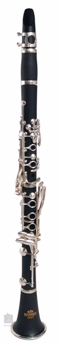 Roy Benson CB-317 - Clarinet