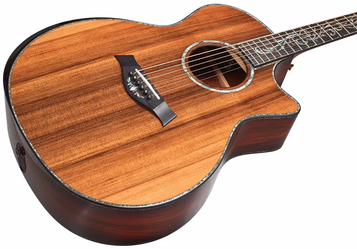 Taylor PS14ce V-Class Bracing 2018 - Chitară electro-acustică