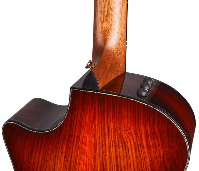 Taylor PS14ce V-Class Bracing 2018 - Chitară electro-acustică