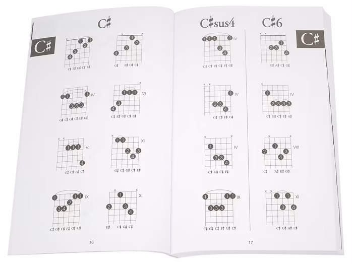 MS The Little Black Book Of Chords - Partituri pentru chitară