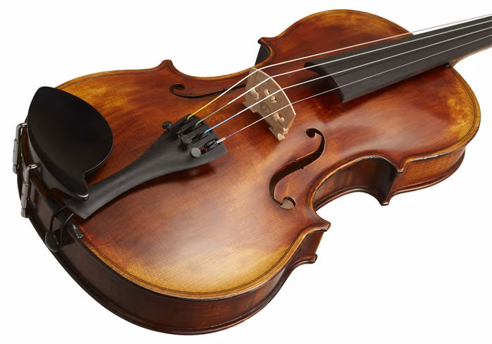 Strunal Schönbach Pienza 194 4/4 - Vioară acustică