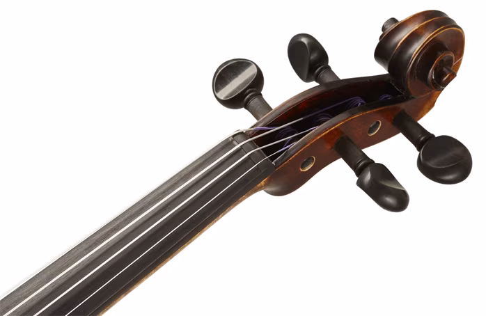 Strunal Schönbach Pienza 194 4/4 - Vioară acustică