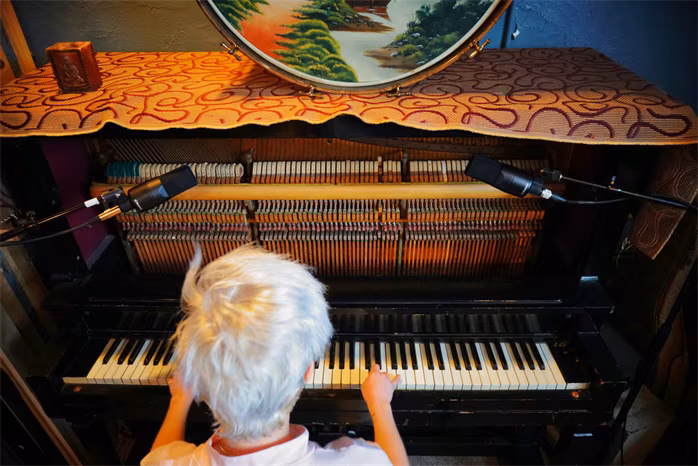 sE Electronics X1 S - Microfon condensator