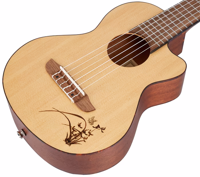 Ortega RGL5C - Guitalele