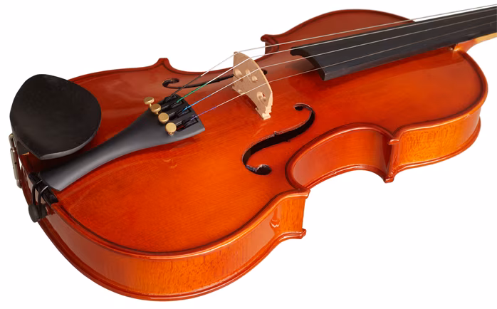 Stentor Student 4/4 - Vioară acustică