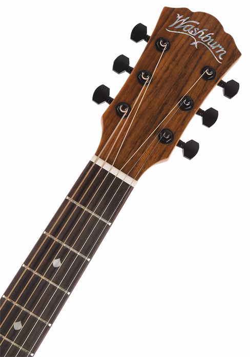 Washburn BTS9CH-D-U - Chitară acustică