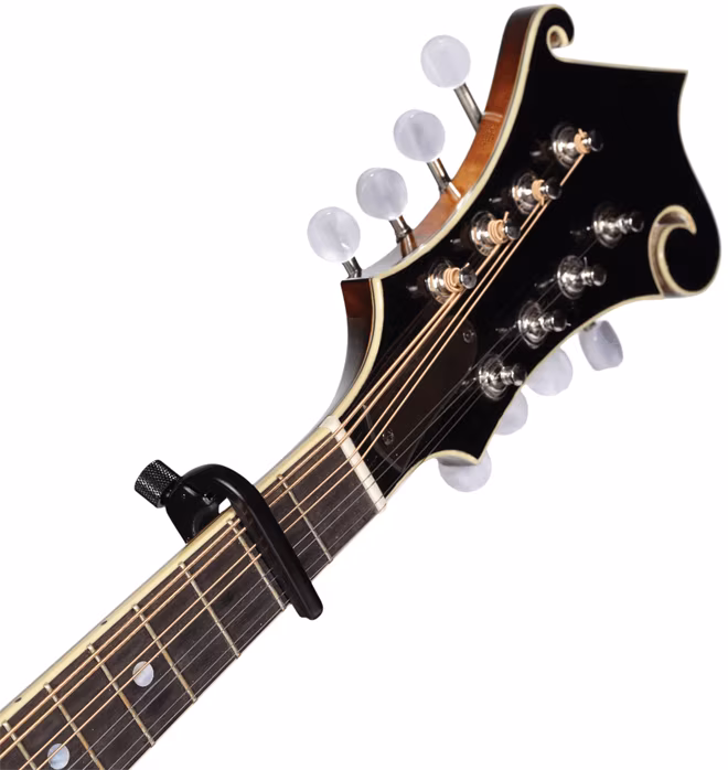 D'Addario PW-CP-11 - Capodastru